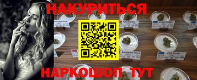 крисы Гатчина