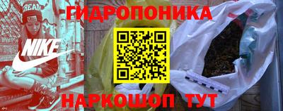 ешки Гай