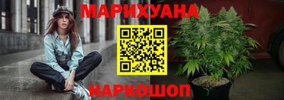 крисы Гатчина