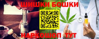 крисы Гатчина