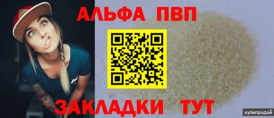 ешки Гай