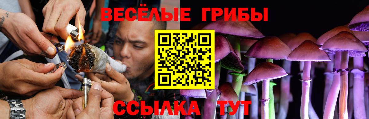даркнет сайт  Вход с VPN  Псилоцибиновые грибы прущие грибы  Благодарный  Псилоцибиновые грибы MAGIC MUSHROOMS 